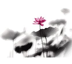 福州市中医院：「橘井泉香」儿科名医陈桐雨与循肤摸麻