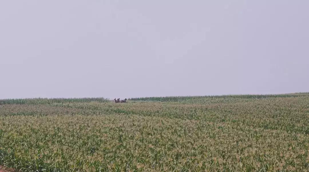 一个逃难到临潼的风水先生和我们家族80年的命运