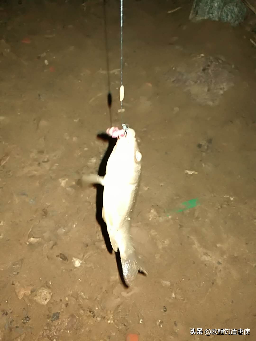 钓鱼也是一种技术,科学钓鱼的基本原理