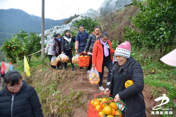 漳浦:农旅“联姻”喜增收——“壮丽新时代·百家媒体看仪陇”采访小记