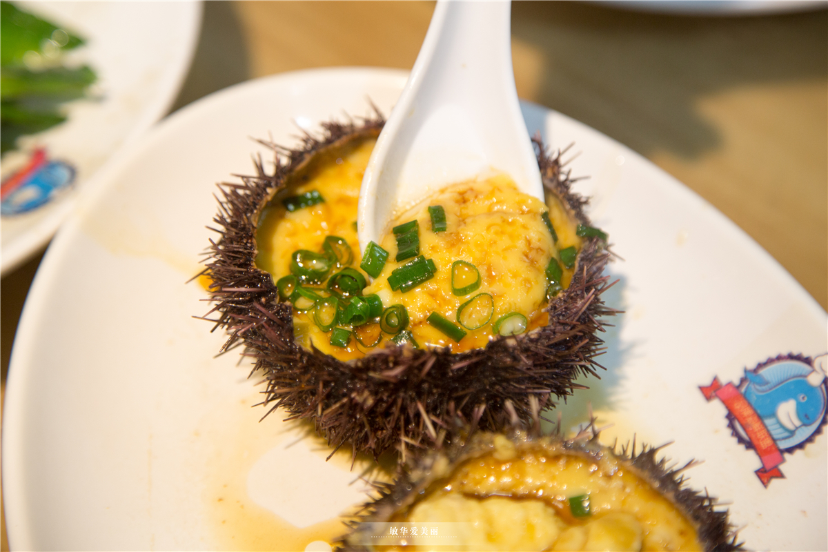 三亚哪里可以逛街带娃,在三亚带儿童玩的地方