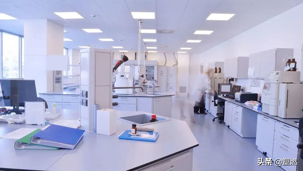 健身蛋白粉什么成分最好,健身营养补剂真相