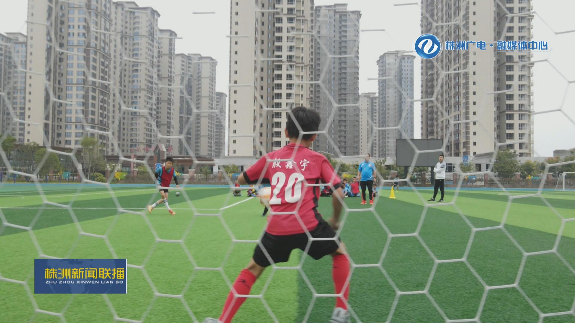 株洲体育特色学校排名,株洲市有哪些院校