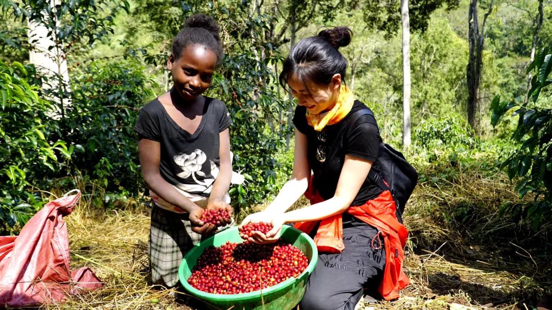 据说《怪美》中范美饰演者晨阳发布了征婚帖？看完不心动算我输