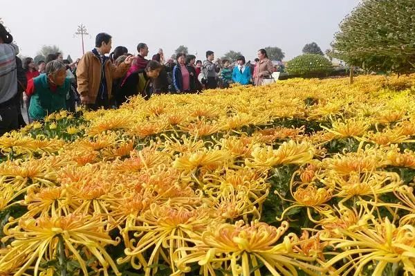 立秋，立秋！这43件事，上海人必须要去做