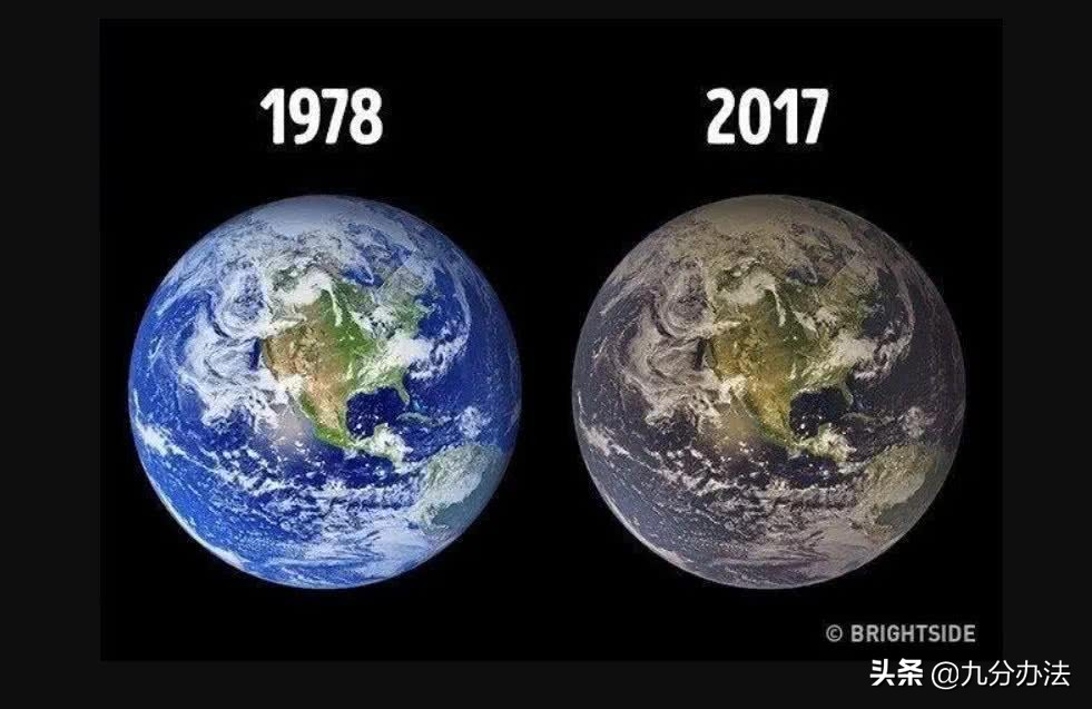 珠峰脚下长草,珠峰长草视频