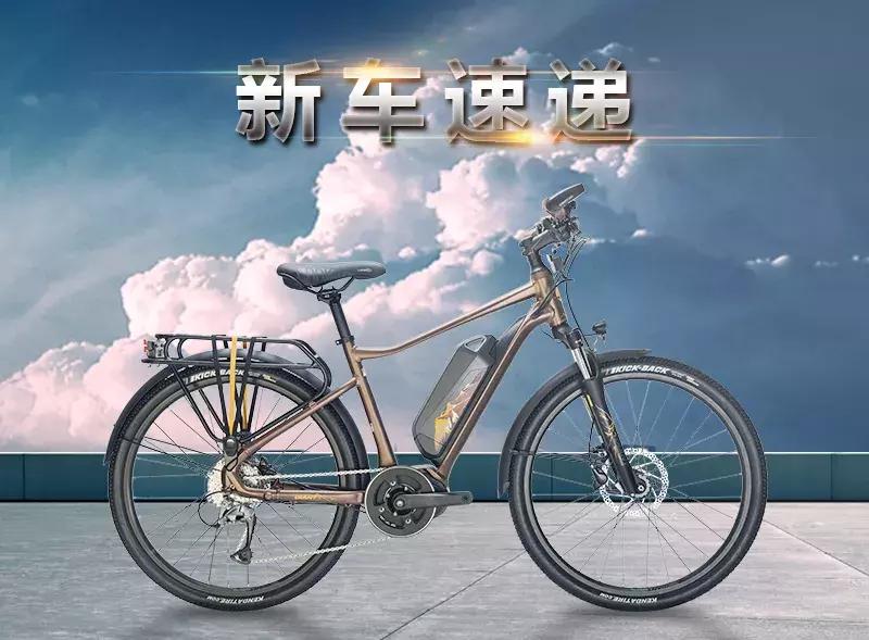 一个自行车的简介：GIANTExpeditionE+盛装而来