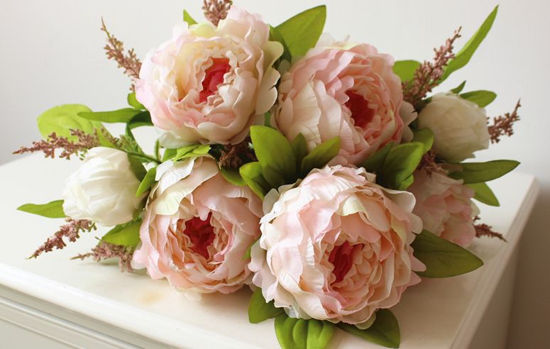 50种鲜切花花语,每个花艺师都要知道