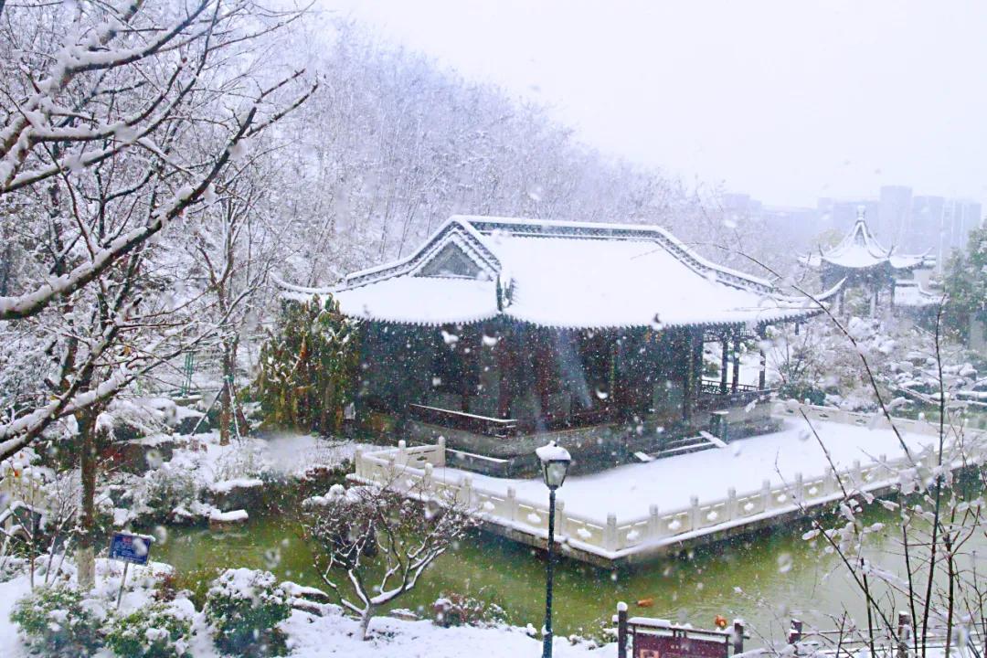 南京大学金陵小学怎么样,南京金陵小学仙林湖校区学费