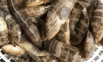 在海南岛最霸气的渔港码头,海南十大渔港码头