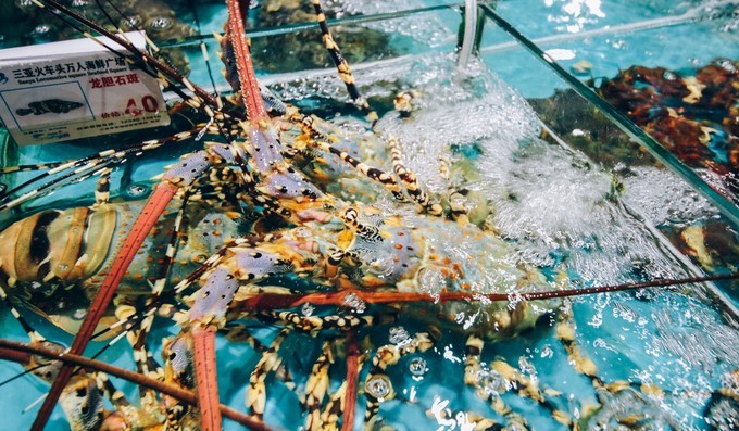 三亚吃海鲜地方推荐,三亚吃海鲜最好的地方又便宜