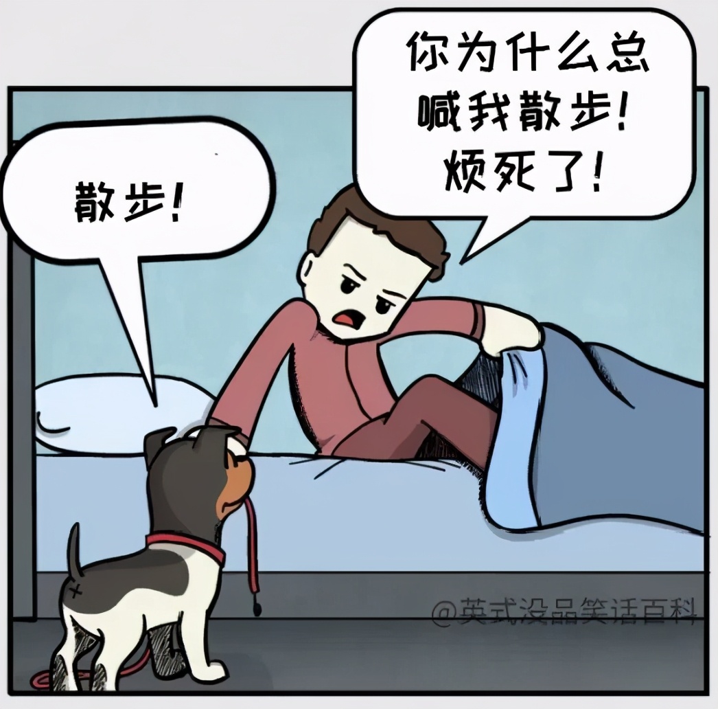 猫和铲屎官漫画全集,铲屎官和狗子的漫画