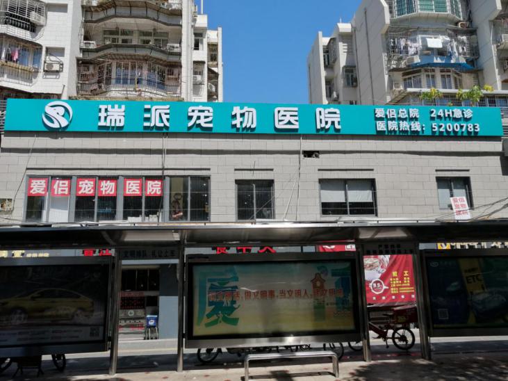 瑞派宠物医院告诉你最牛医院的正确打开方式