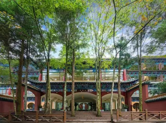 杭州天目山民宿,杭州天目山原始森林民宿