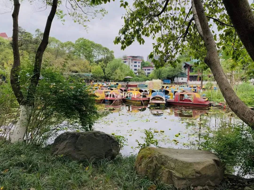 成都公园运营模式,成都公园维护成本