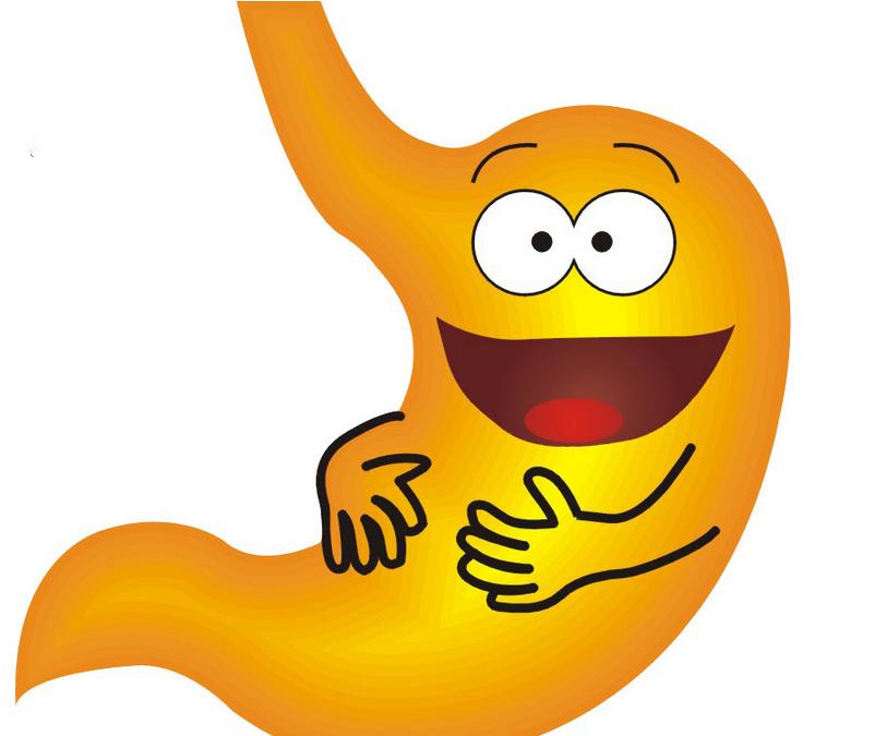 组织器官部分缺失是什么,我们缺失器官可以活多久