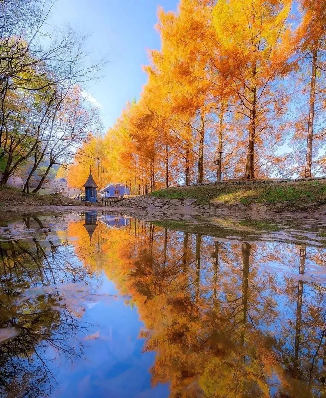 摄影怎么拍出物品倒影,摄影基础影像知识