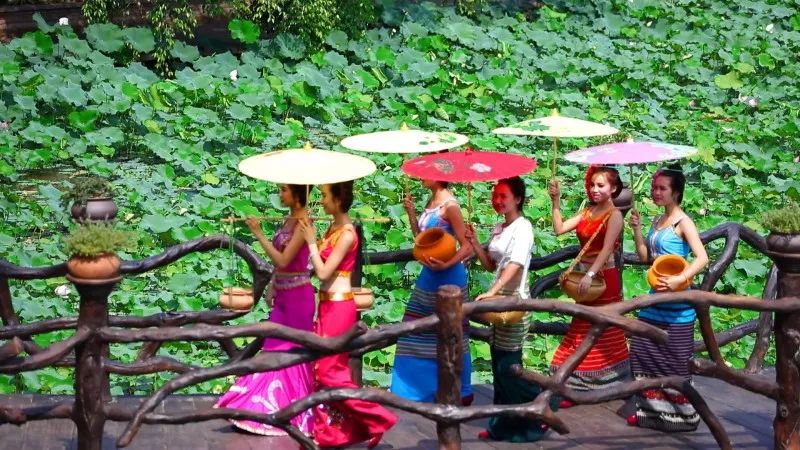 收好这份云南最新5a景区名单,云南的5a级景区有哪些