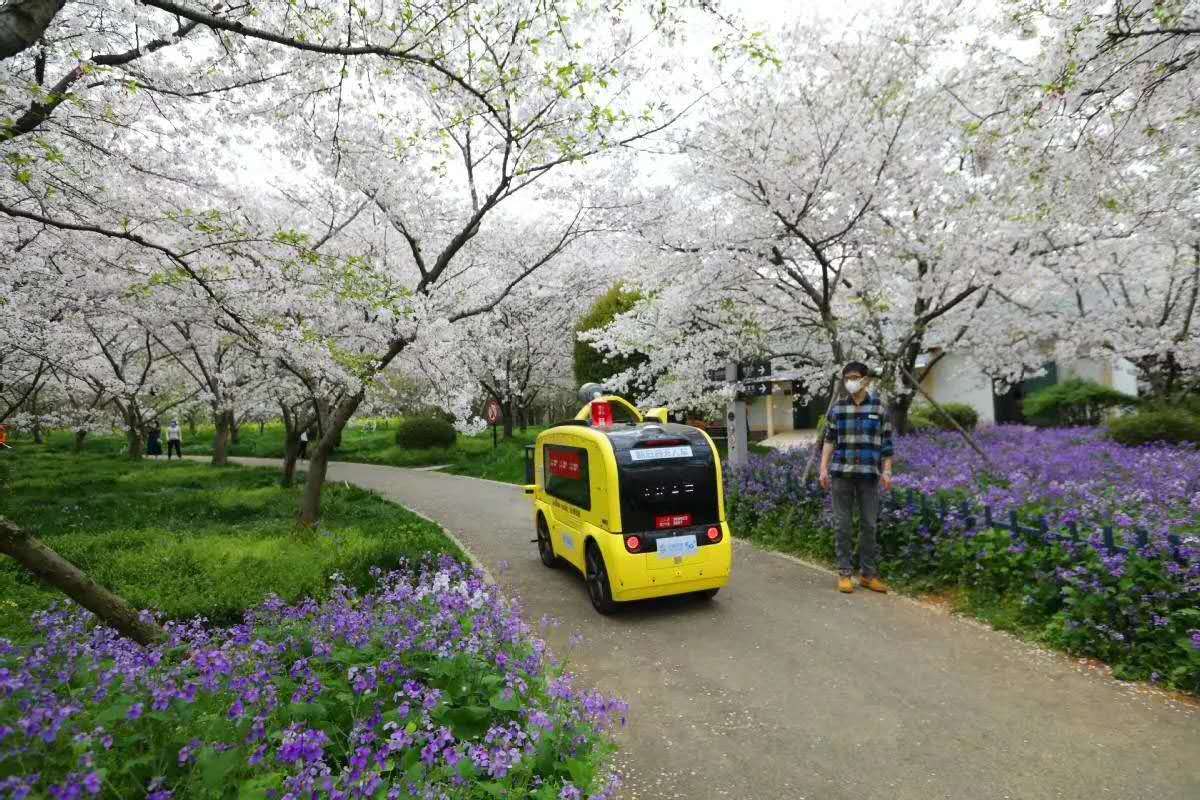 九天诗词2020春天诗词集雅第六集