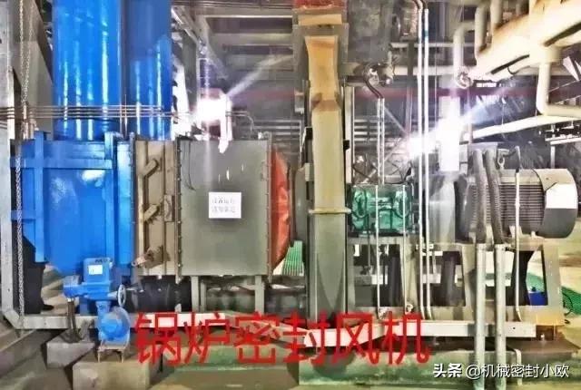 最先进发电厂,国内最大的十大电厂