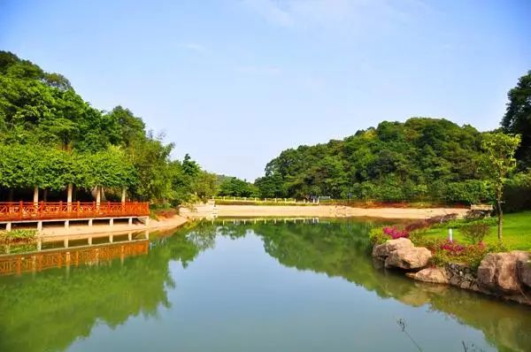 广州适合情侣旅游的景区推荐,广州情侣必去的旅游胜地