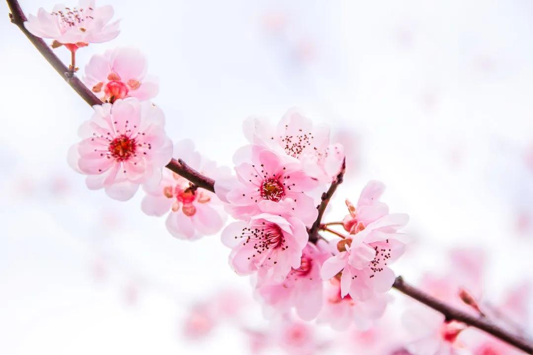 带有收藏的成语,成语归纳给孩子收藏吧