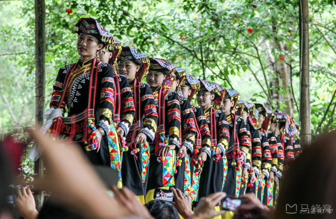 西双版纳泼水节野象谷,西双版纳旅游野象谷全攻略