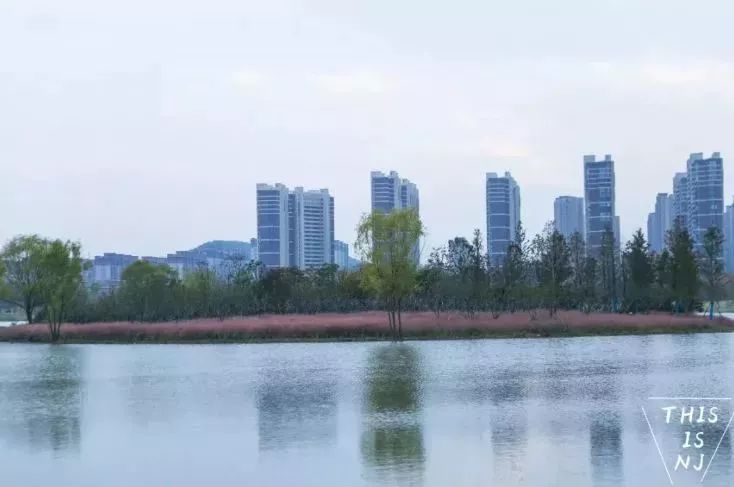 南京有哪些免费公园,南京象山湖公园免费攻略