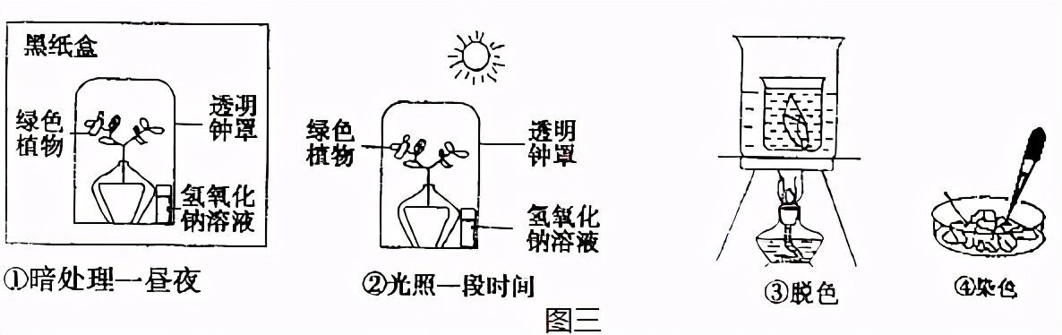 临沂市生物实验操作考试视频,临沂物理实验操作考试试题