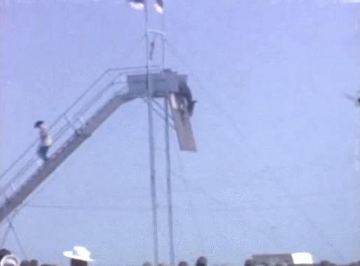 喝水时的搞笑表情包,跑步表情包搞笑图片高清