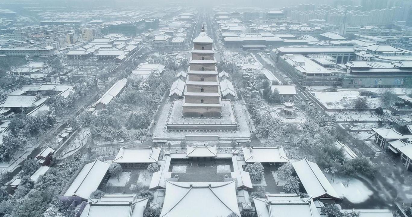 选录课本上的《草》，为何后四句删减了，是因为有“诗病”吗