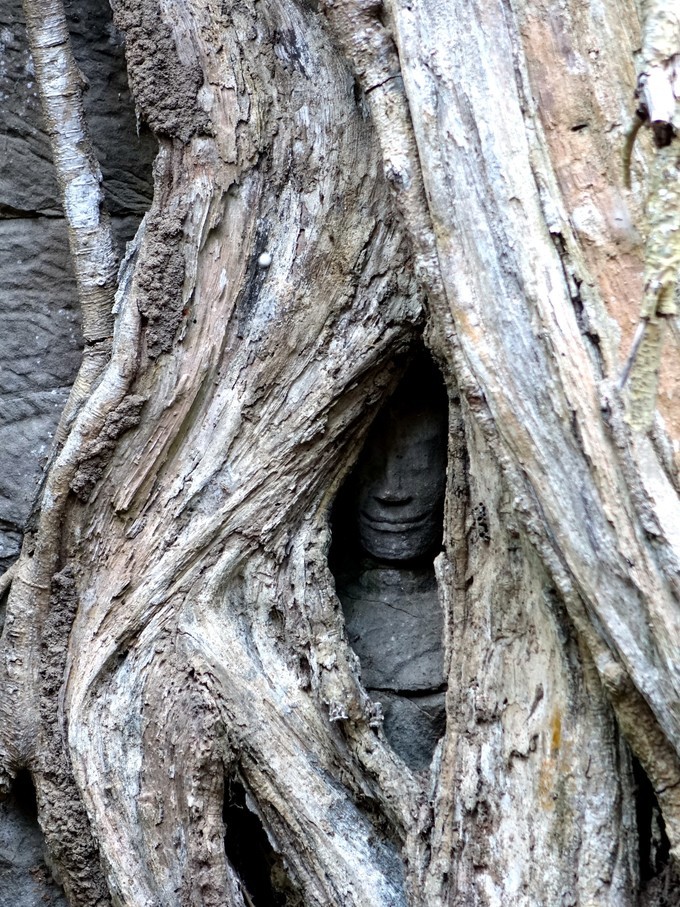 柬埔寨暹粒市旅游攻略,旅游柬埔寨必读完整攻略指南