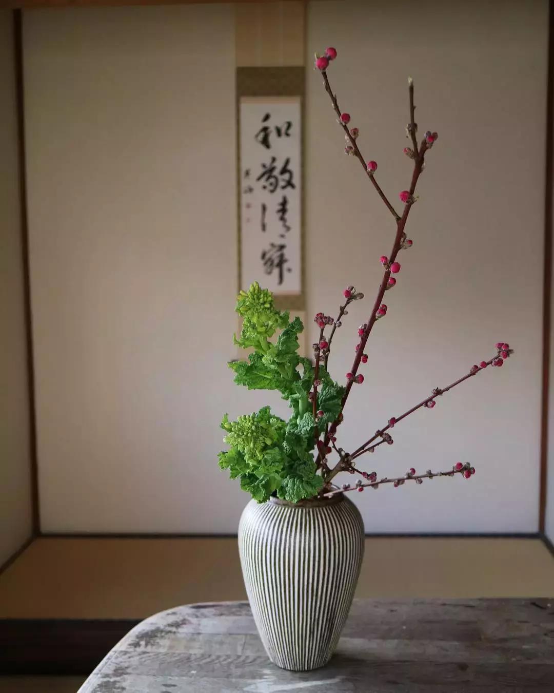 创意禅意插花月季盘花,禅意插花100例兰花