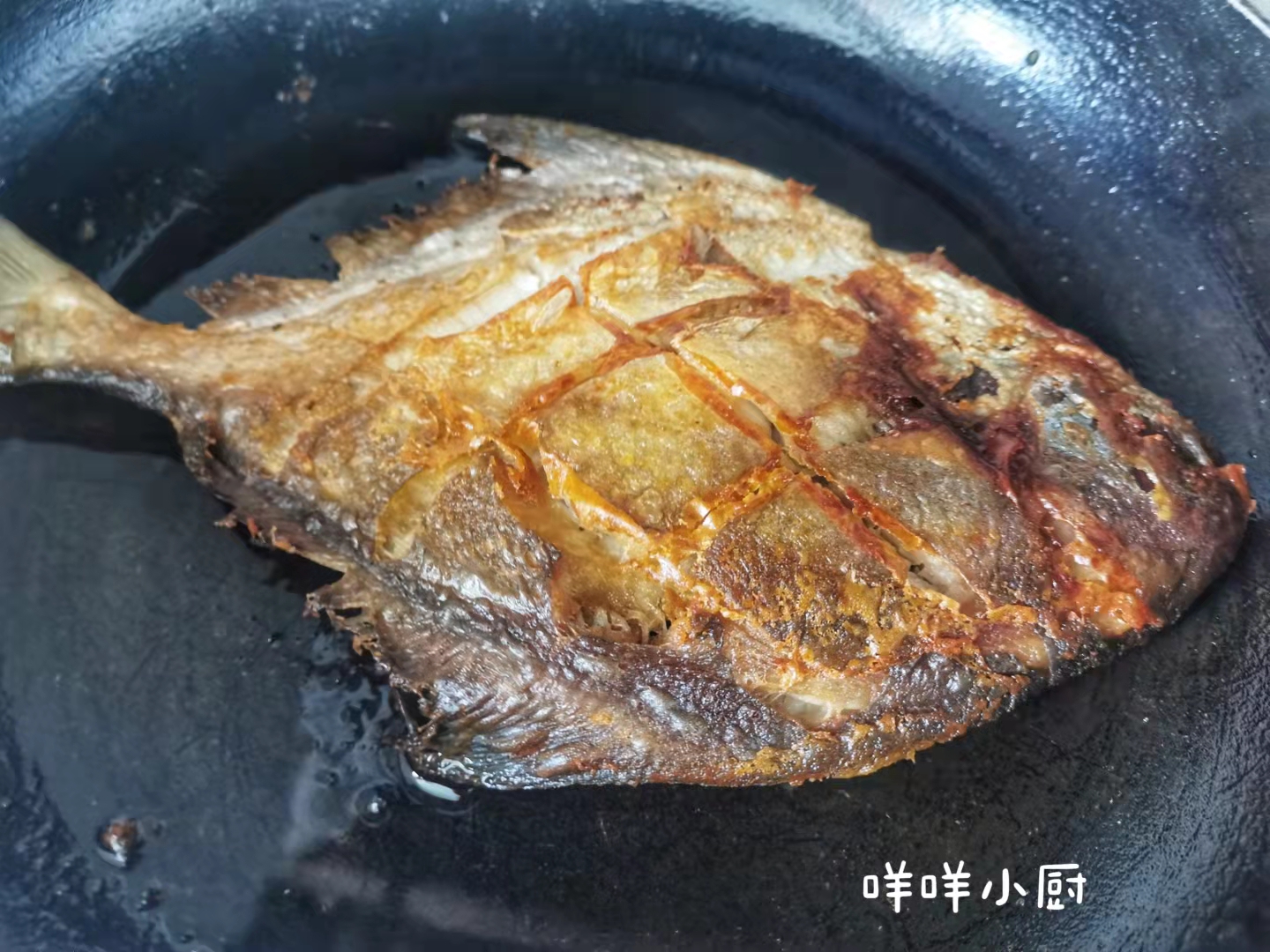 鲳鱼低脂高蛋白,哪个种类的鲳鱼好吃又营养