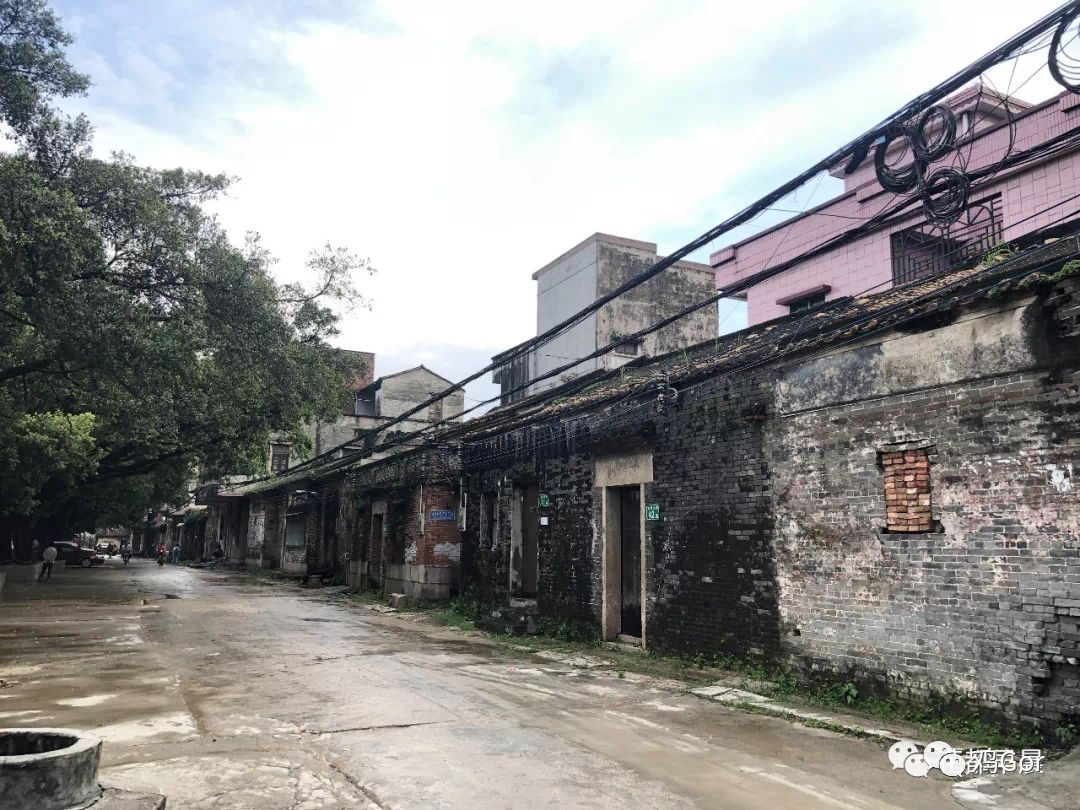 花都东镜村旧改2023计划,花都旧改重点