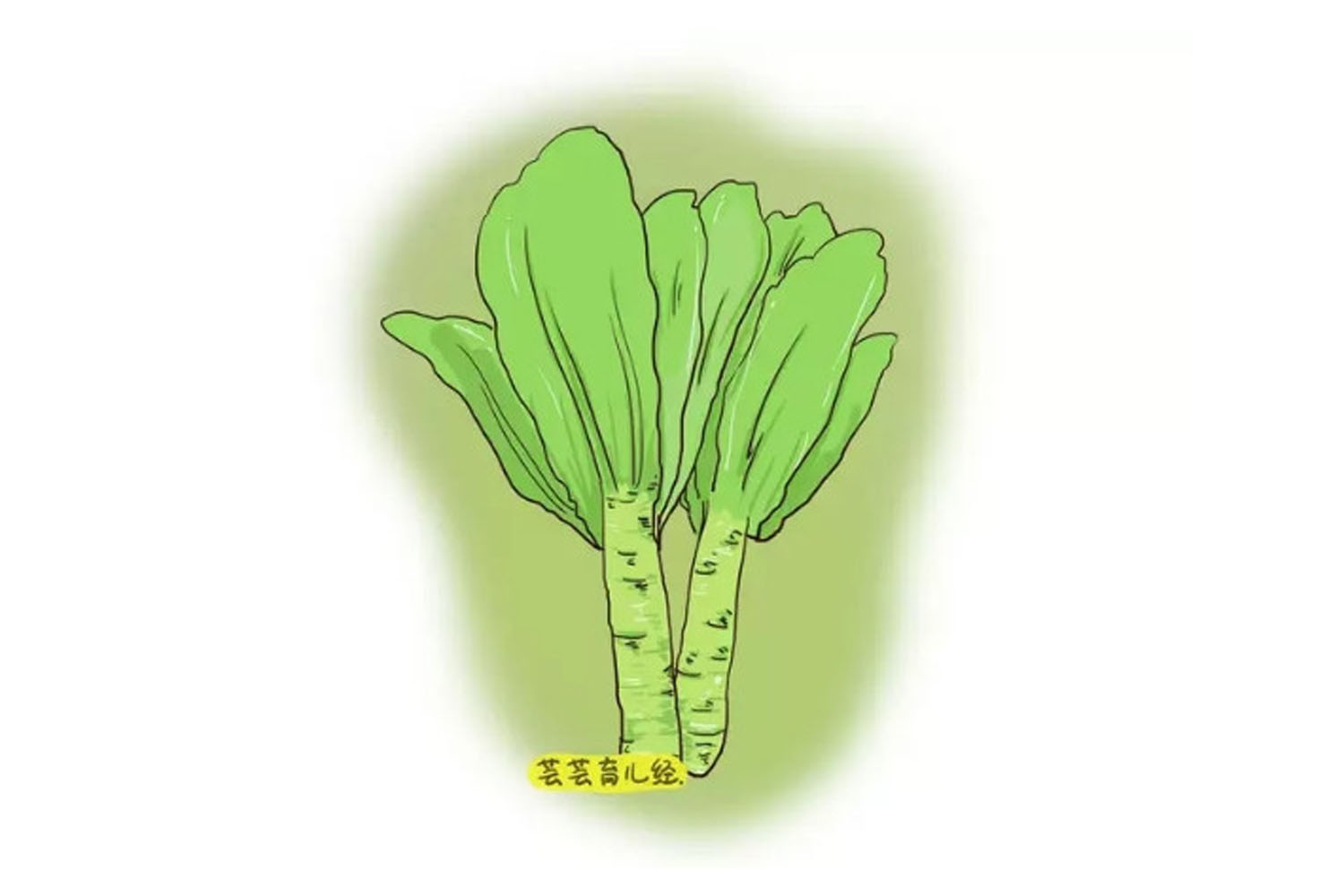 有效追奶又清爽的原味蔬菜汤,3款催乳汤好喝又下奶