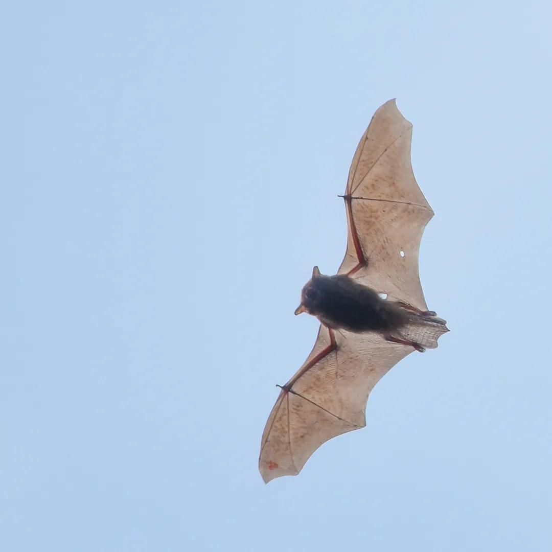 合肥融创茂宝藏秘境,合肥宝藏地