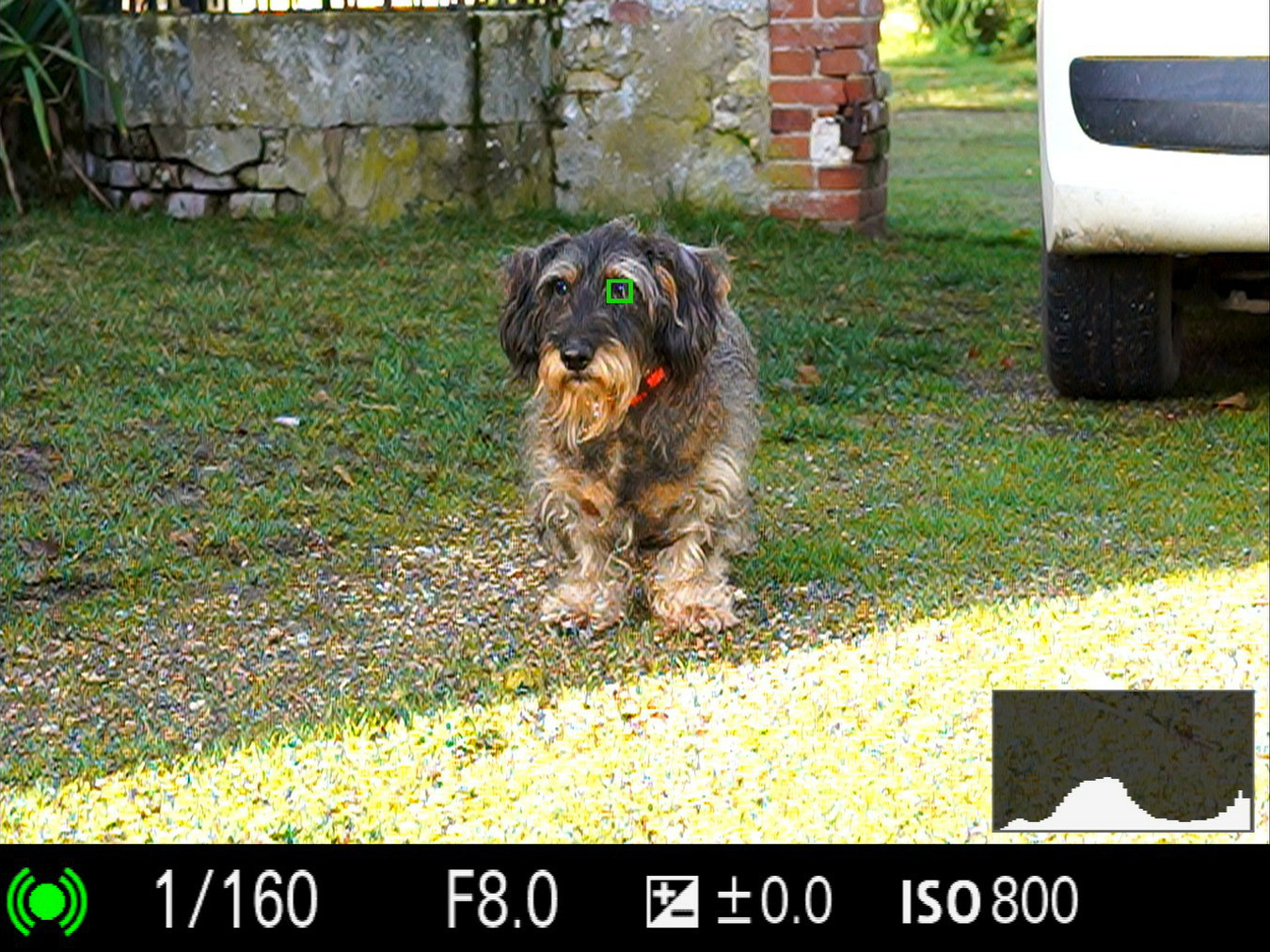 索尼A7CII全画幅微单,索尼微单a7c深度评测