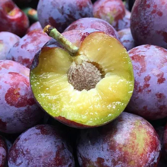 汶川最美紫宝石,汶川最美的紫宝石