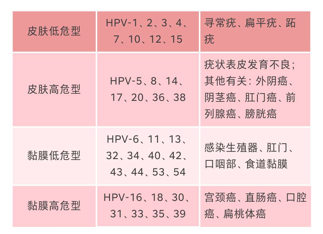 宫颈癌是hpv感染导致的吗,宫颈癌就是hpv吗