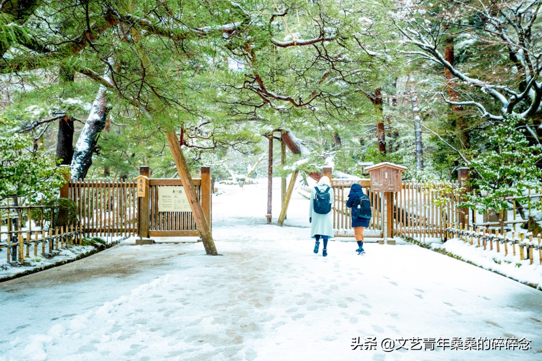 冬季日本的自驾游攻略,冬日游日本名古屋攻略