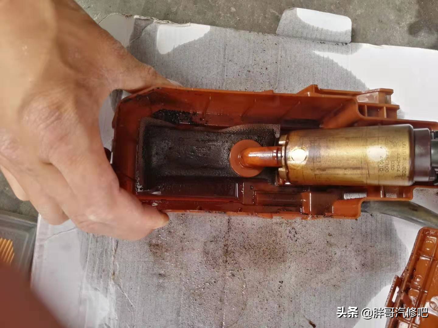 19年蓝鸟难启动很抖,2004年老蓝鸟