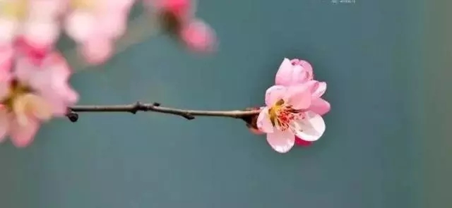 人生岁月感怀诗,孤独落寞伤感的五句诗