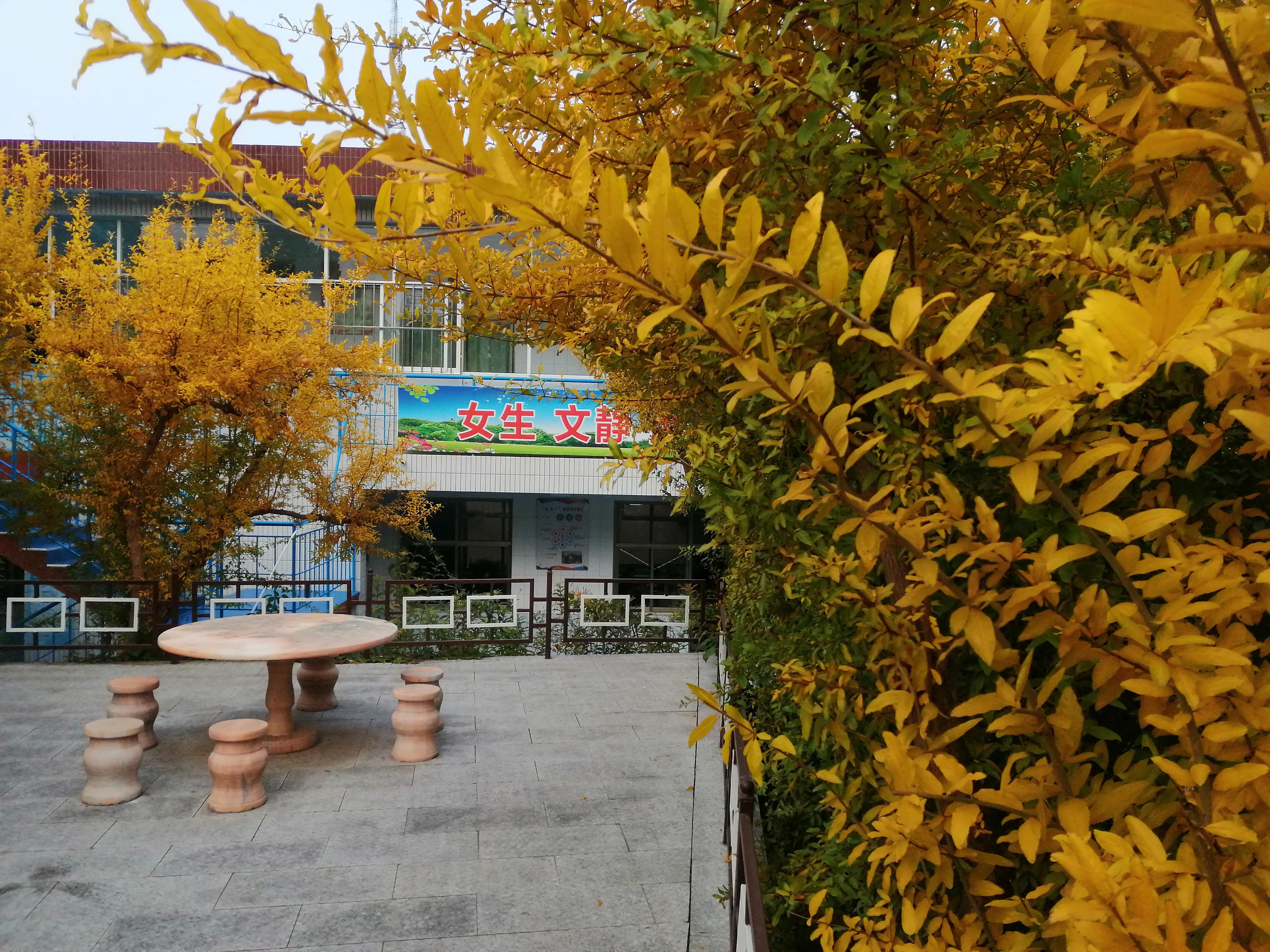 路路路路通,路路不同