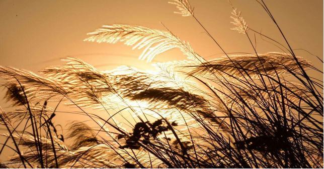 免疫药物不良反应如何处理好,滥用药物怎么恢复