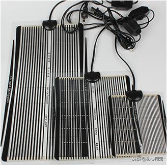 好用的豹纹守宫上手攻略,新手养豹纹守宫还是肥尾守宫