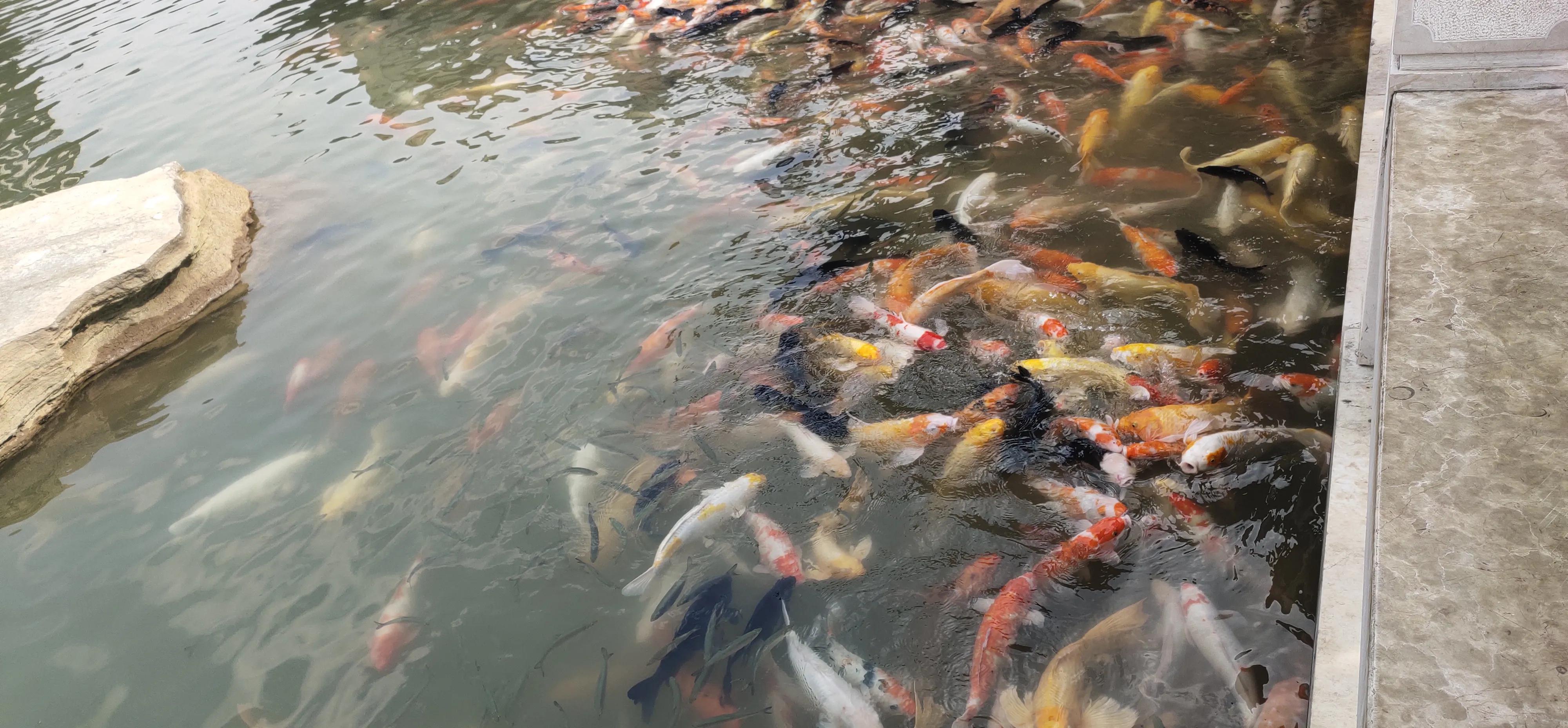 弥勒居住养老优缺点,弥勒市天气适宜养老吗