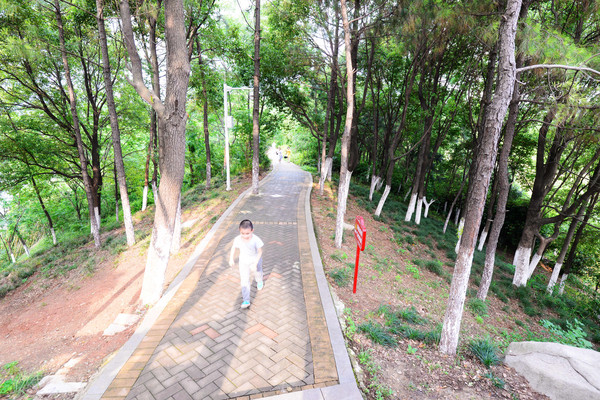 南昌动物园哪里有大象,南昌大象公园