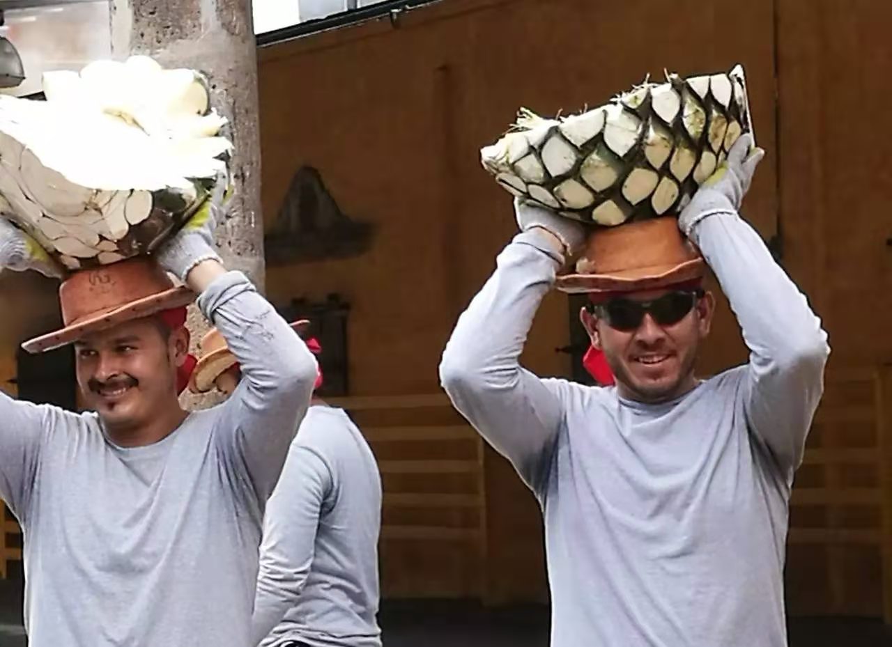 蚊子传播寨卡病毒吗,寨卡病毒可能没有症状吗