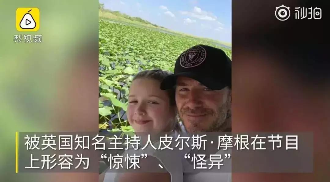 小七甜蜜献吻贝克汉姆,贝克汉姆吻小七引争议视频